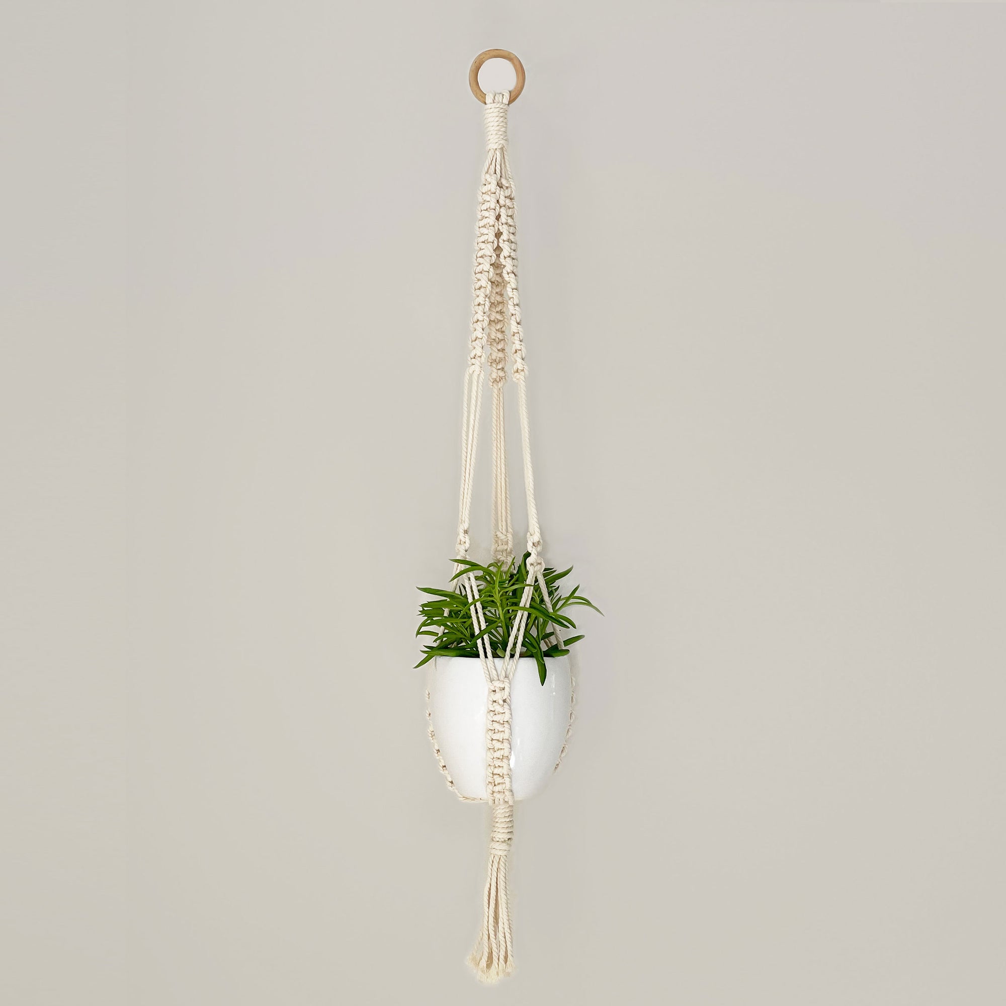 DIY Macrame Planter Hanger with Pot