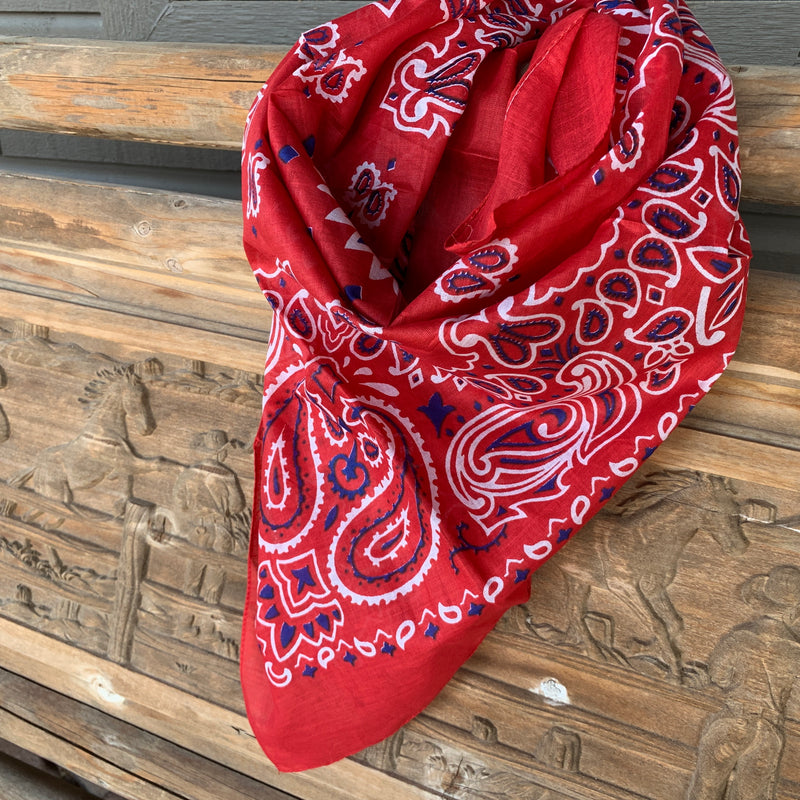 Red Bandana Print Oversized Scarf – Jewelry Made by Me
