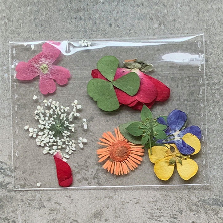 Natural dried flowers set A – M