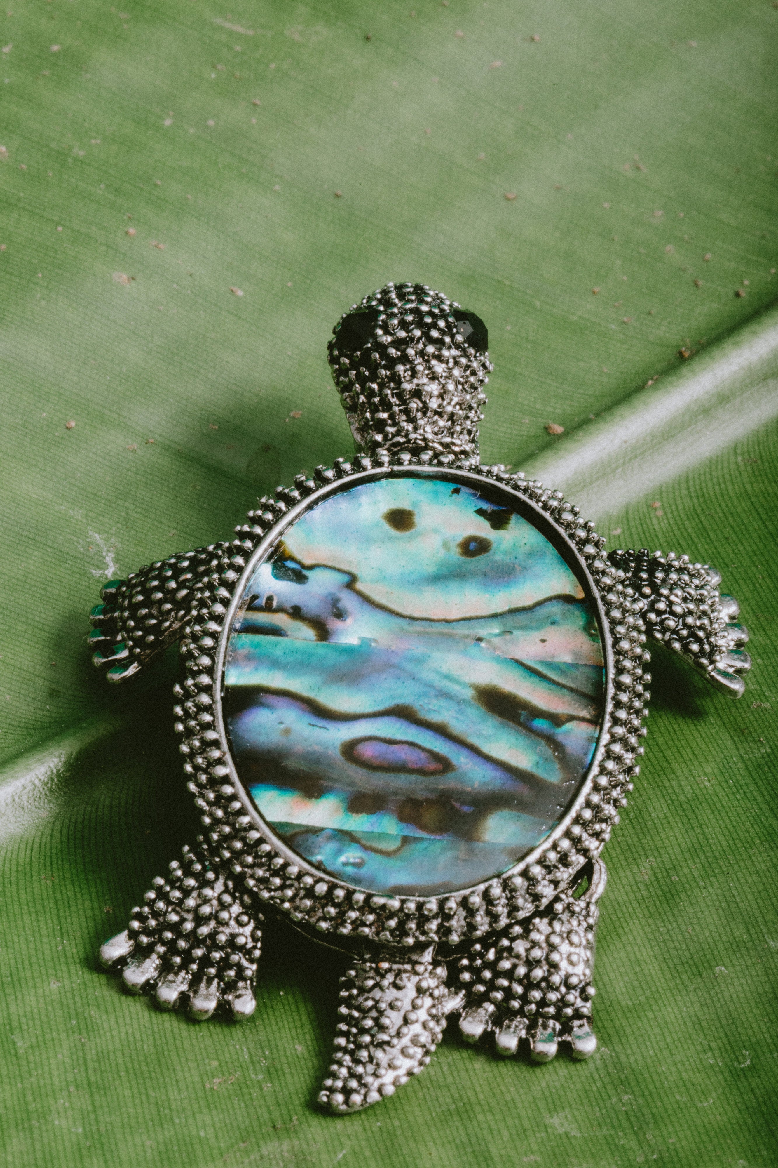 Sterling Leatherback Turtle Brooch with popular Abalone Paua Shell Inlay