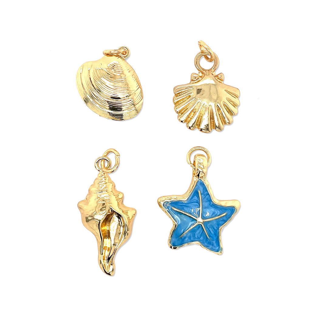 Multi Shell Charms 4pc