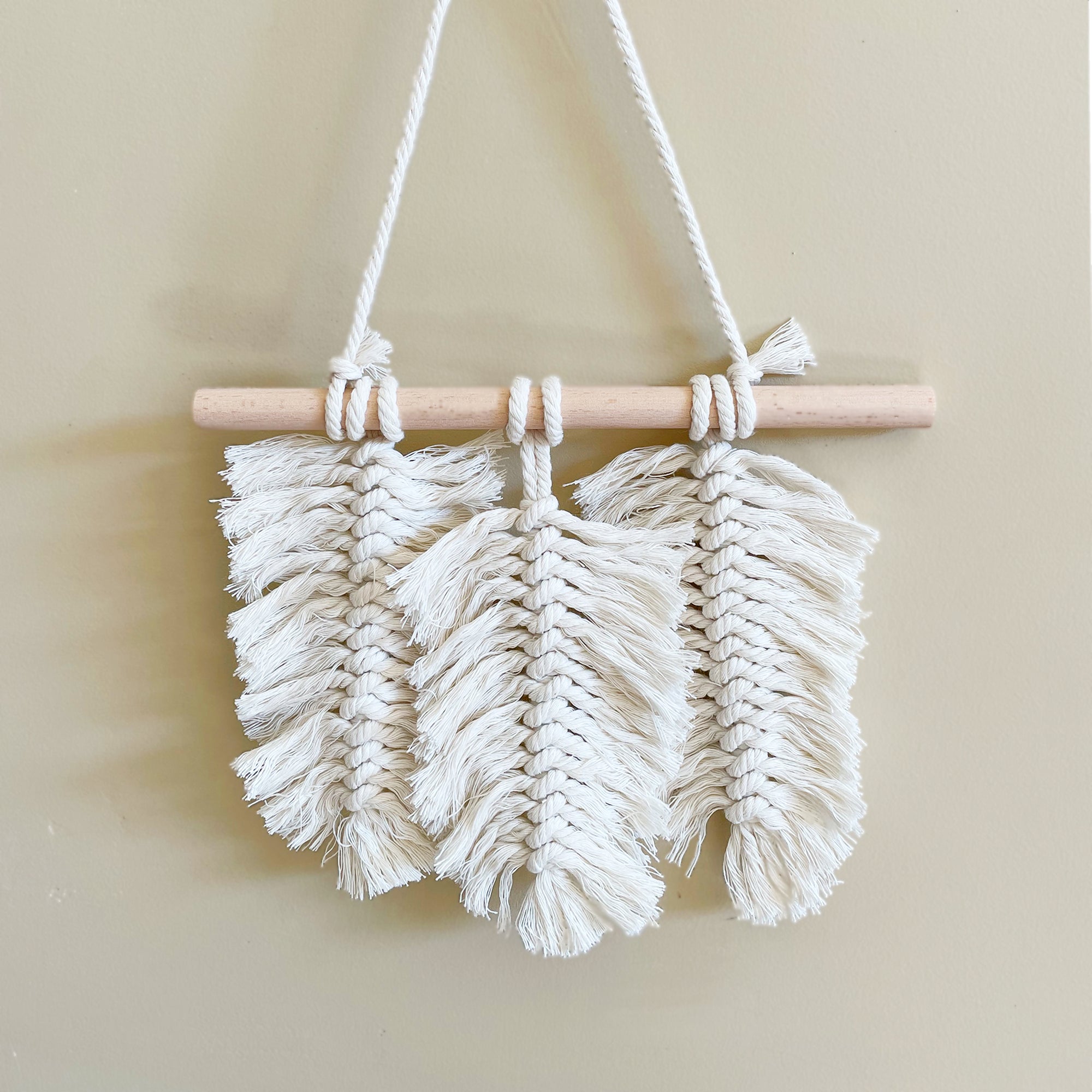 DIY Macrame Feather Wall Hanging Kit